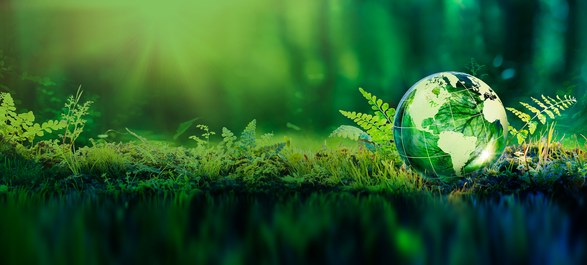 2050年に“カーボンネットゼロ”へ